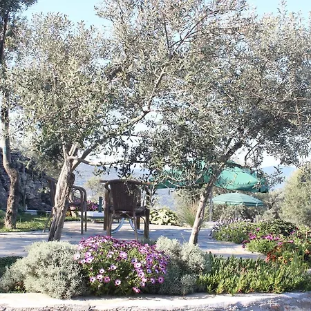 Olive Garden Retreat * Dort Tepe