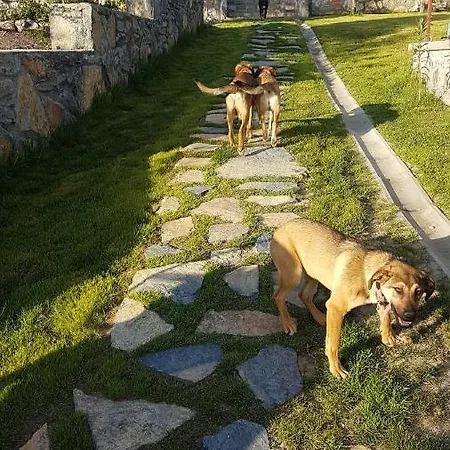 Olive Garden Retreat Dort Tepe